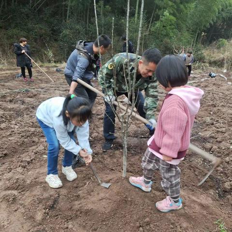 春风催新绿，植树正当时