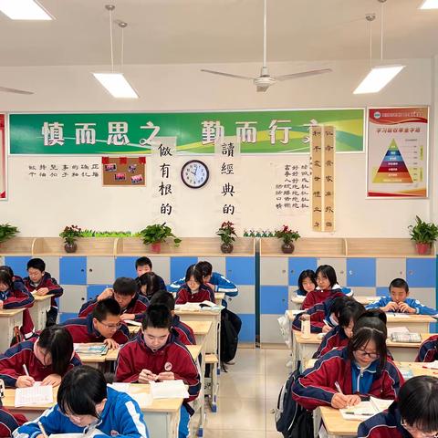 未来可期翼，一心向未来