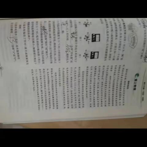 C2115杨淇文组美篇