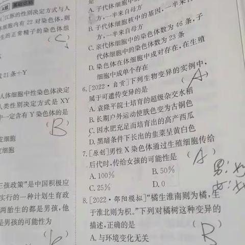 C2115黑曼巴组美篇