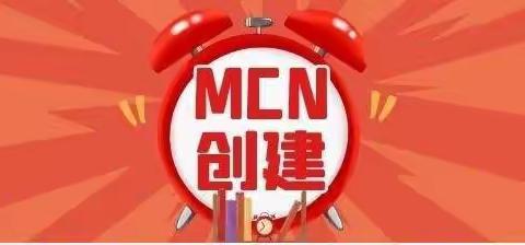 tiktok跨境tsp服务商是什么?怎么申请?