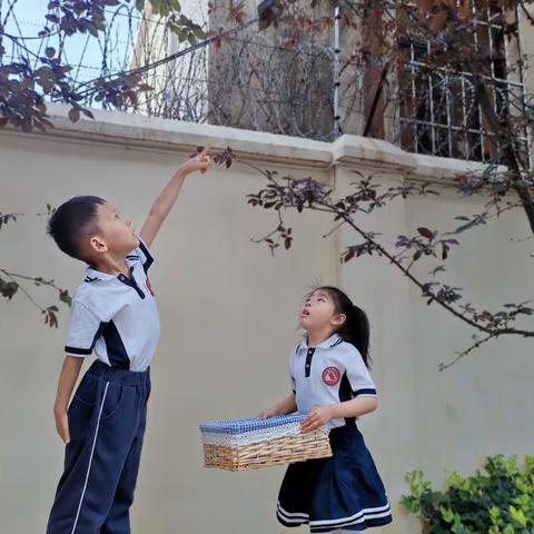 昆明市人民政府机关幼儿园盛唐第二园区李子节活动——乐享有“李”