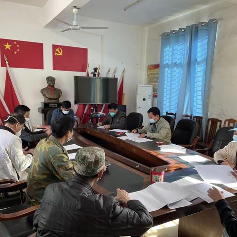 那大镇加平村党支部开展1月份主题党日活动