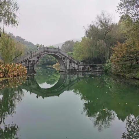 《实践型财务讲师训练营》总结