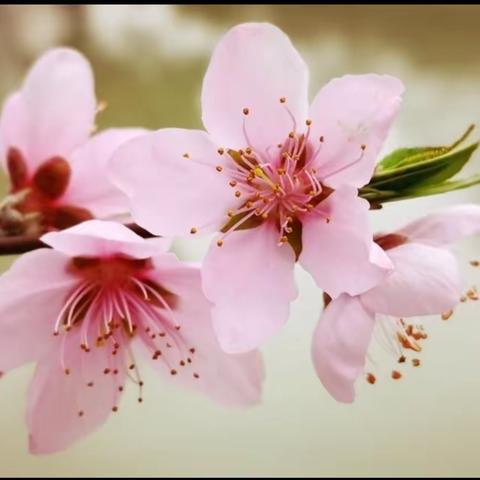 资源共享，凝聚集体智慧﻿