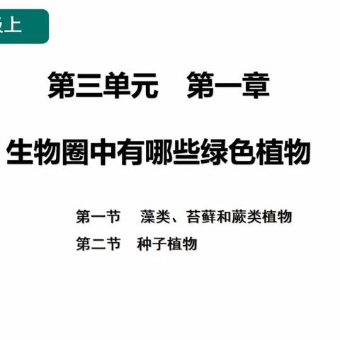 王兰庄学校地生组教研活动总结