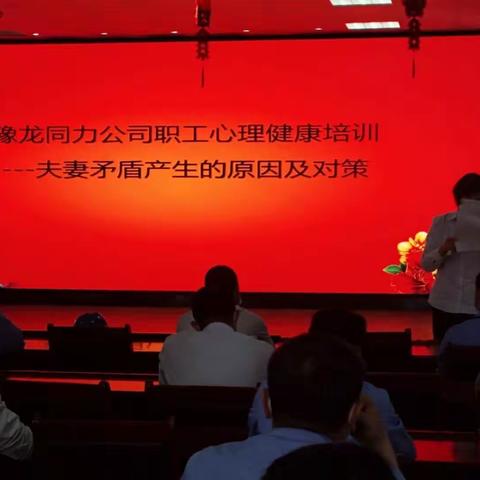 心理服务进豫龙同力水泥公司