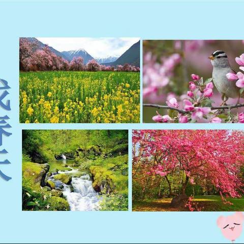 万物随春醒——殷都区正心小学综合实践活动