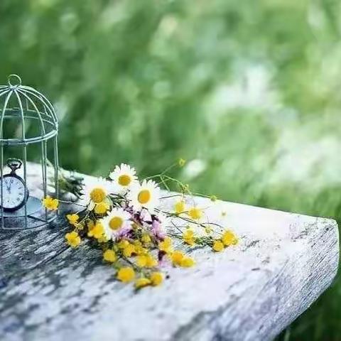 人这一辈子只活三天！