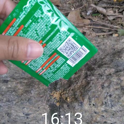 2023年2月6日，梅林街道日常组织人员对辖区内进行红火蚁防控