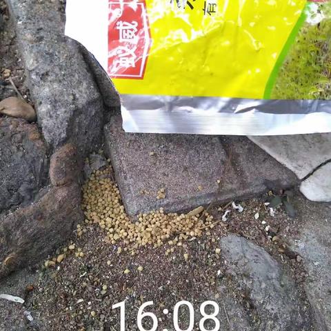 2023年2月7日，梅林街道日常组织人员对辖区红火蚁进行防控工作