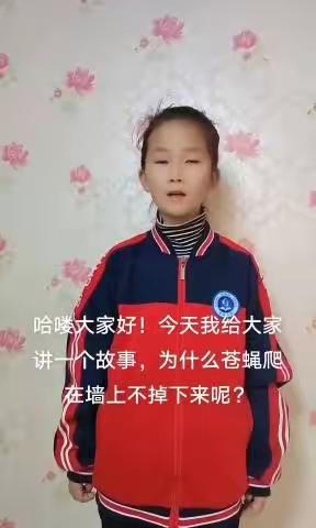 【能力作风建设年·德育活动】集结“十万个为什么”,探索科学奥秘 ———三一中队“十万个为什么”课堂纪实