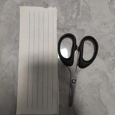 艺术素养：剪纸