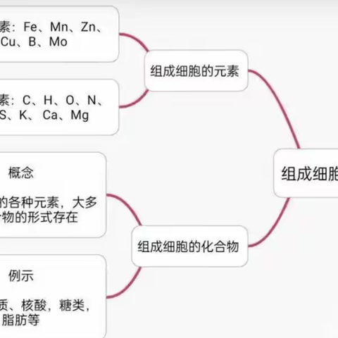 学校：华中师大一附中屯昌思源实验学校