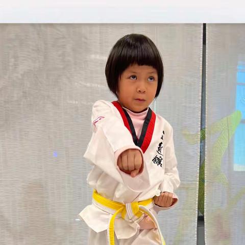 苏子芯个人训练总结