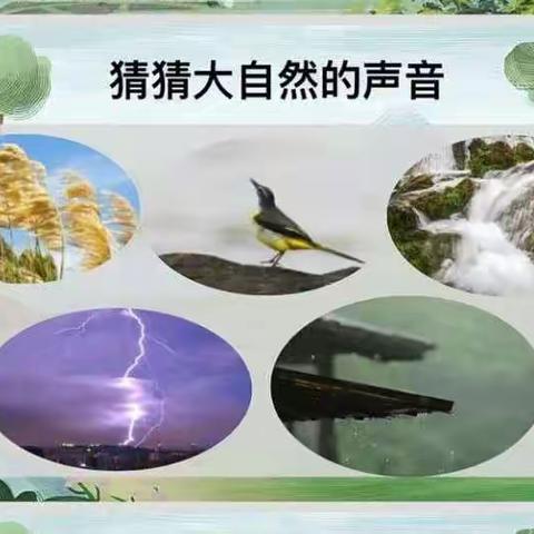 【莲湖区沣惠路小学·学科活动篇】“寻找大自然的声音”——记三年级语文学科活动