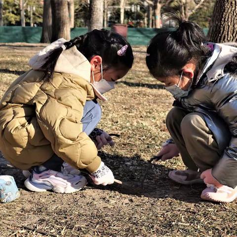 阳光下地坛运动