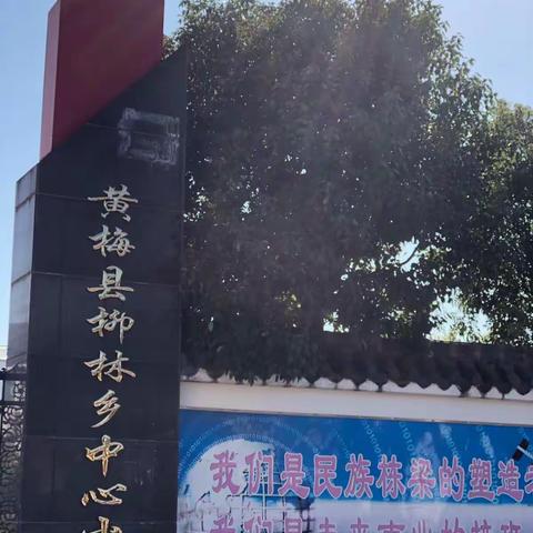 停课不停学，成长不停歇——柳林乡中心小学“云课堂”互动教学