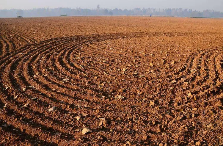 记忆中家乡的土地