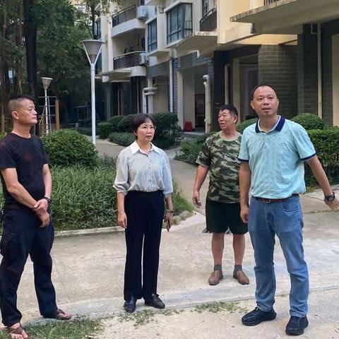 春光社区开展预防登革热专项整治行动