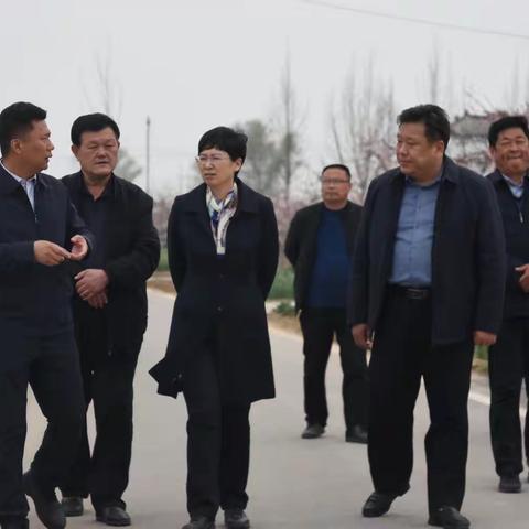 市政府副市长曹临一行到马集镇调研乡村振兴以及农村供水保障工作