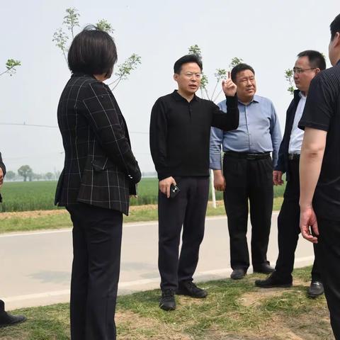 市农业农村局党组书记、局长吴振一行到马集镇督导小麦条锈病监测防控统防统治工作