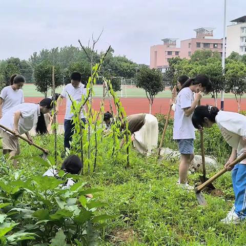 22级电子2班劳动课（除草篇）