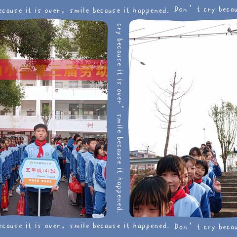 “一分耕耘，十分收获”——印山小学五(4)班劳动实践活动记录
