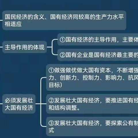 学业水平：画一学科的思维导图