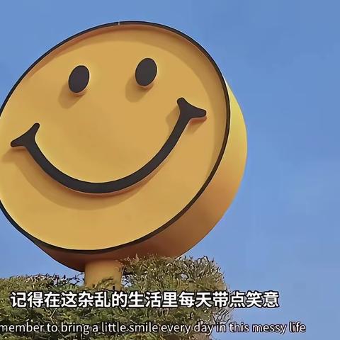 生活中的小确幸