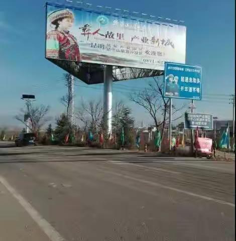 大美两区，洋芋花开……！