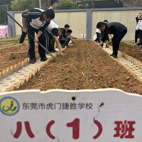 微雨过，小荷翻，榴花开欲然——801