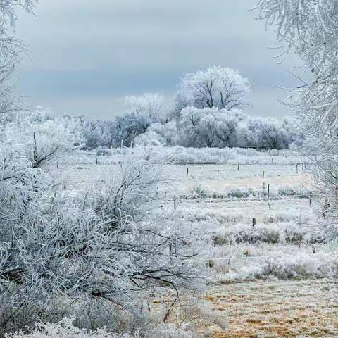 扫雪