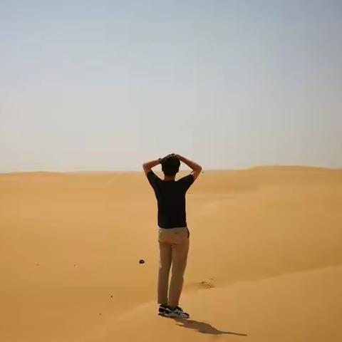 黄沙漫漫，岁月留痕：陈仲