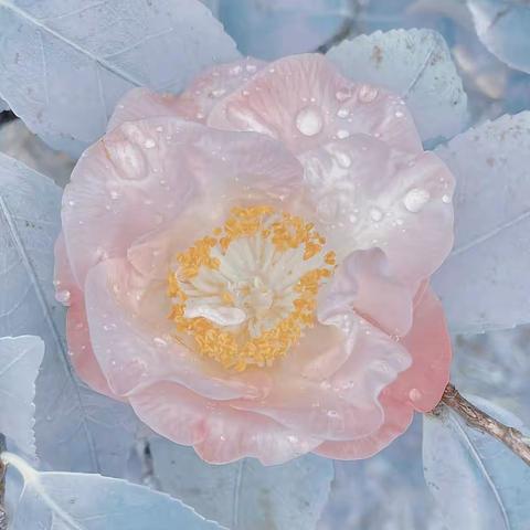 吉林农业科技学院成人本科有什么用