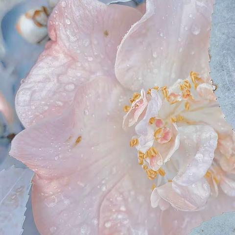 吉林工商学院成人大专考试地址