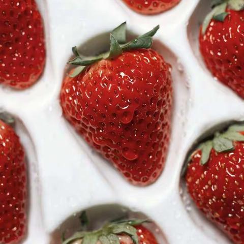 长春中医药大学成人本科要怎么报名