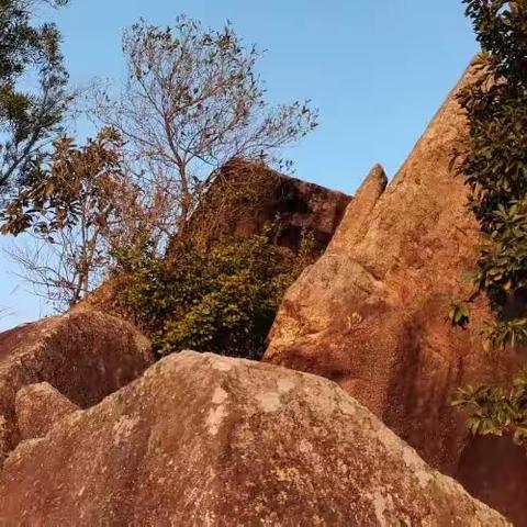 登上神山