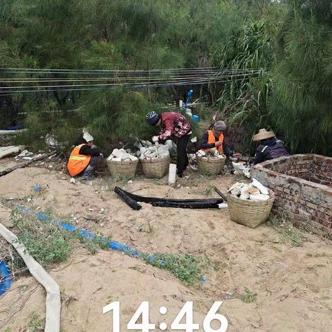 清理海岸线，共创绿色家园