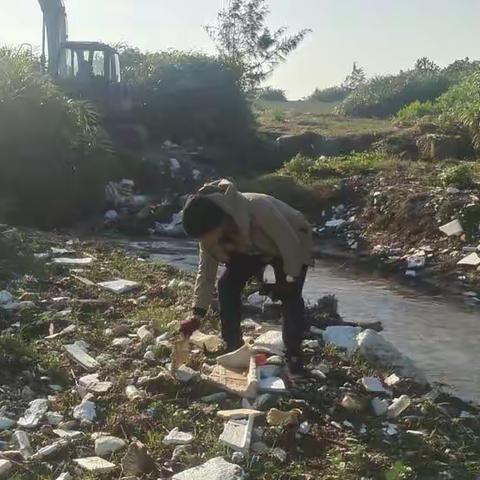 守护海岸线，保护绿色家园