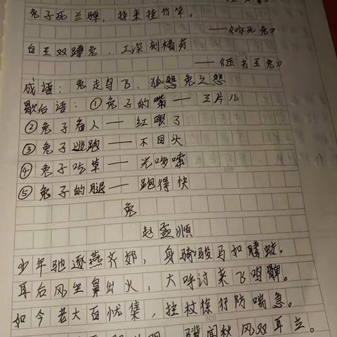 曾曾日上的美篇