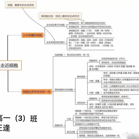 画一个学科的思维导图