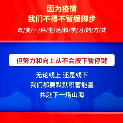 潜心教学守阵地，不负韶华向未来                             ——永兴镇金寨小学