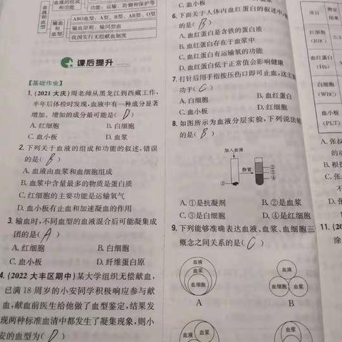 内卷组本周作业情况