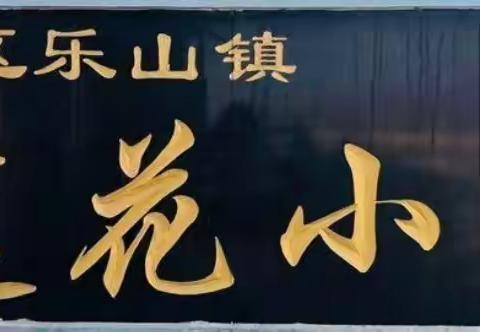 朝阳区乐山镇中心小学校领导莅临莲花小学进行督导检查