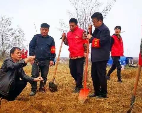 “三年绿山，五年富民”                                           贾豁乡人大代表义务植树为扶贫产业添新绿