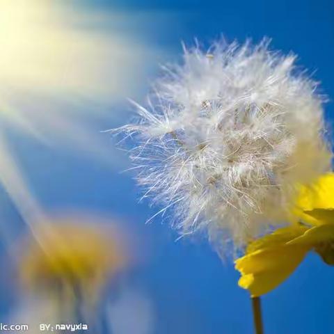 “新”光熠熠，未来可期——华山中学高中历史组青年教师汇报课