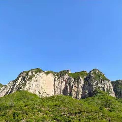 青羊山之乱真相探究之九：动乱平息何以几天搞定？（副本）