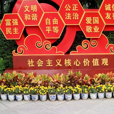 海洋的美篇