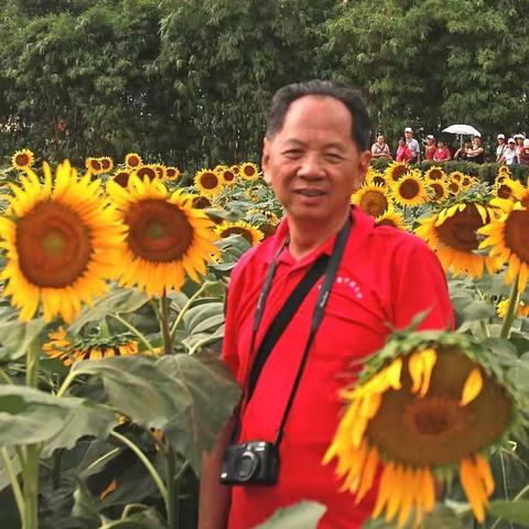 海洋的美篇